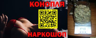 дурь Камышлов