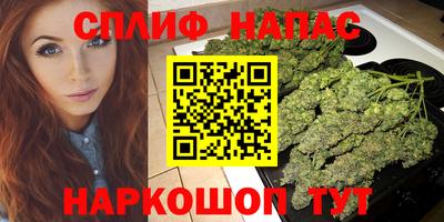 дурь Камышлов