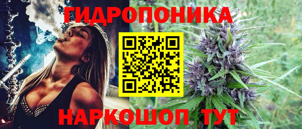 Бошки Шишки планчик Кунгур